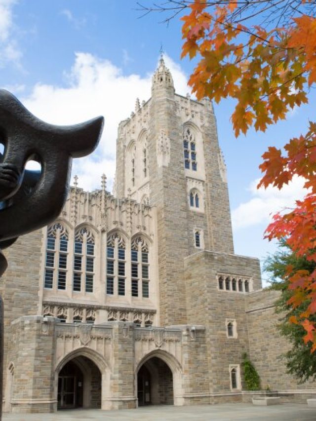 Princeton university admission requirements leverage edu