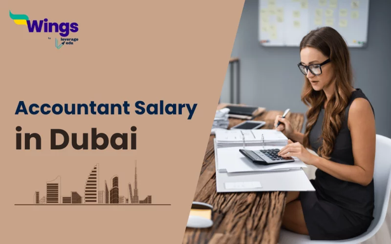 A Complete Overview of Accountant Salary in Dubai 2024 Leverage Edu