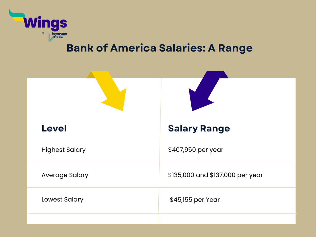 Bank of america careers benefits job roles how to apply leverage edu