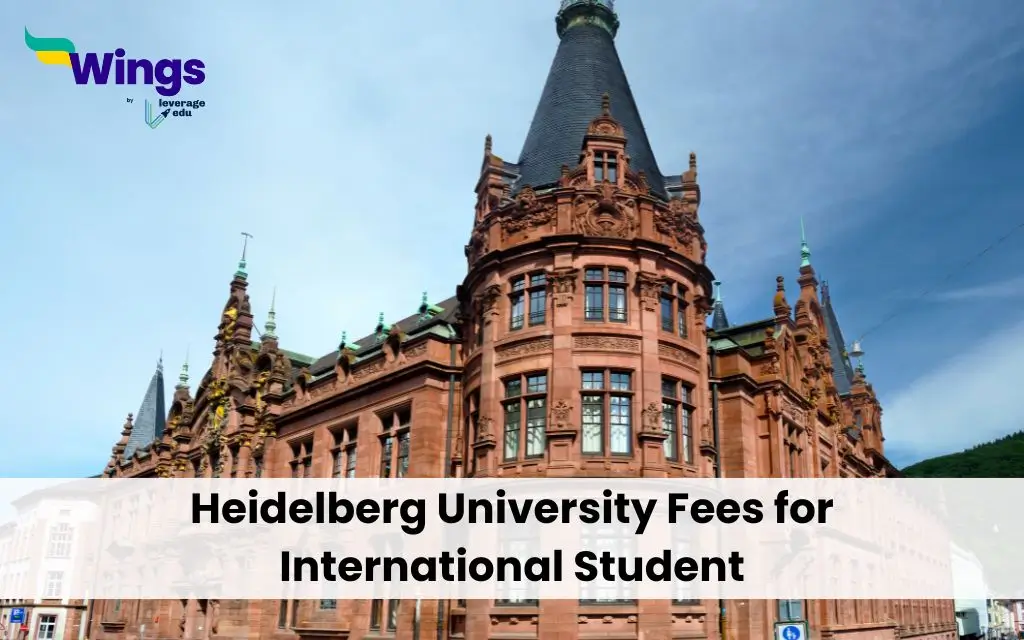 international-students-in-usa-2024-fees-karyn-anneliese