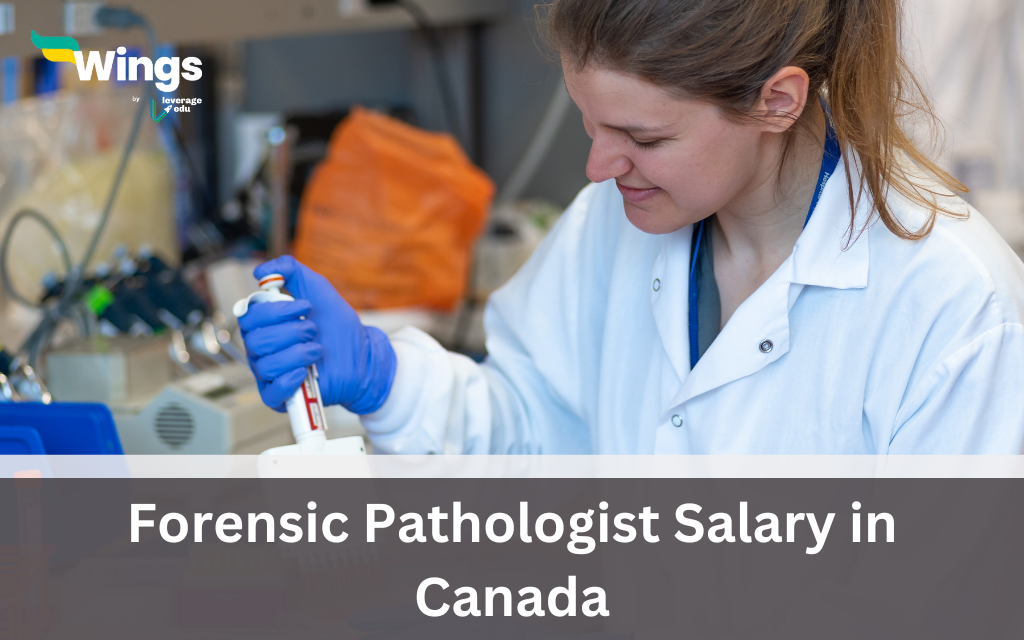 Forensic Pathologist Salary In Canada Unveiling The High Earning forensic-pathologist-salary-in-canada-unveiling-the-high-earning